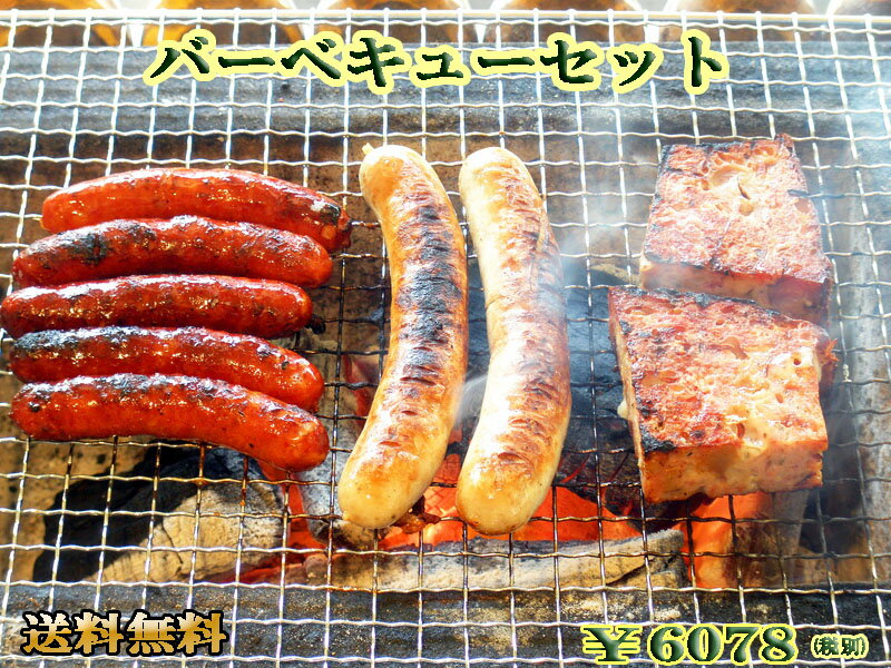 【送料無料】 【あす楽対応】 バーベキューセット ドイツ グルメ 詰め合わせ 粗挽き 内祝 内祝い お返し 辛口 ホットドック チョリソー チーズ 御礼 プレゼント ソーセージ お取り寄せグルメ BBQ バースデー 誕生日 バーベキュー 母の日 新生活 お花見【あす楽】のサムネイル