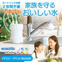 浄水器 ゴクリア コスパ抜群 2年交換 水浄水 PFAS PFOS・PFOA除去 17+3物質除去 水量 塩素除去 日本製 蛇口 コンパクト 水道水 後付け 据...