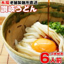 讃岐うどん ざるうどん お試し 讃岐 特性ダシ醤油6袋付き 6食分 600g(300g×2袋)〔メール便出荷〕