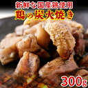 焼き鳥 国産 宮崎 お惣菜 送料無料 ポイント消化 食品 やきとり おつまみ 焼鳥 肉 炭火焼き おかずレトルト 個包装(100g×3袋)〔メール便出荷〕