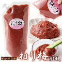 【あす楽】練り梅 梅肉 紀州南高梅 ねり梅 国産 チューブ 大容量 ご自宅用 スイーツ お徳用 大量 ギフト お取り寄せ キャップ付き 500g 〔フルフィル出...