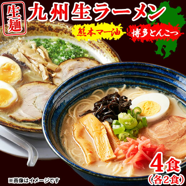 博多ラーメン 豚骨ラーメン とんこつラーメン マー油 とんこつ 生麺 送料無料 こってり 食品 お取り寄せ 4食（各2食）スープ付き〔メール便出荷〕