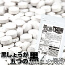 黒しょうが＆5つの黒 サプリ 国内製造 日本製 サプリメント 送料無料 大量 ポイント消化 約4ヵ月分 〔120日分×1袋〕 〔メール便出荷〕