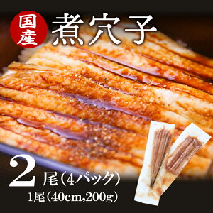 【送料無料】国産　煮穴子 × 2尾（4パック）大穴子　肉厚　1尾（約40cm 約180g）山陰沖産　大穴子　水揚げ量 全国1位 うなぎに負けない大きさ 肉厚 食べ応え 贈答 贈り物 母の日 父の日 お中元 お歳暮 ギフト