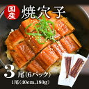 【10%OFF！24日20:00 ー 28日1:59】 【送料無料】国産　焼穴子 × 3尾（6パック入）大穴子　肉厚　山陰沖産　大穴子　水揚げ量 全国1位 うなぎ に負けない大きさ 肉厚 食べ応え