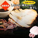 【島根県産 溢れる甘味】シロイカ一夜干し(約25cm 約100g)剣先イカ 真イカ