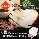 【15%OFF！4日20:00 ー 11日1:59】 【食べやすい小さいサイズ 】シロイカ一夜干し 6枚入り 干物 剣先イカ マイカ しろいか ケンサキイカ【数量限定】