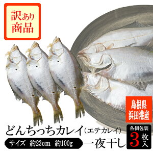 【限定3セット】【訳アリ冷凍焼け】どんちっちカレイ(エテカレイ)一夜干し(約100g前後)×3枚入り 訳アリ