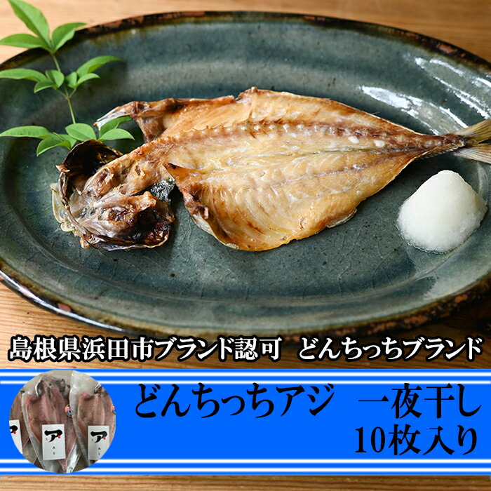 どんちっちアジ 一夜干し (110〜150g) どんちっち ブランド 干物 酒の肴 晩酌や食卓に！脂が美味しいアジを お取り寄せグルメ　お中元　旬の魚