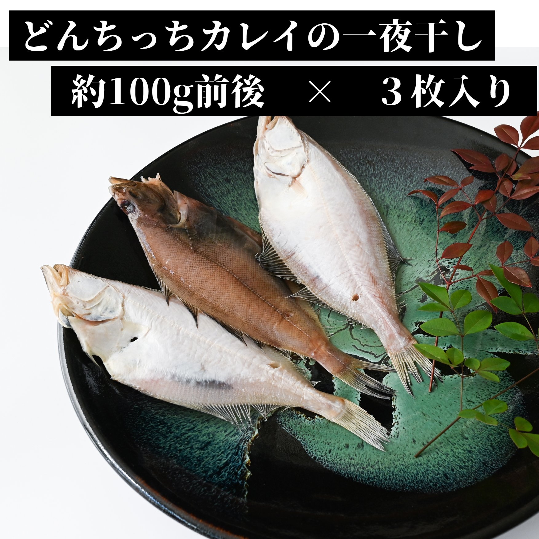 【スーパーDEAL ポイント還元50%】【島根県産】どんちっちカレイの一夜干し(約100g前後)×3枚入り　国産 天然 干物 贈答 父の日 お歳暮 お中元 ご自宅用