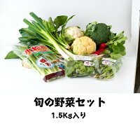 旬の野菜セット１．５Kg入り小松菜枝豆オクラベビーリーフルッコラナスヤングコーン葉大根