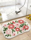 玄関マット おしゃれ 屋内 風水 大判 約50×80cm 40×60cmコーナー吸着つき 吸着シート 洗える室内 おしゃれ