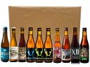 お家飲み・ベルギービールセット 厳選10本入り ギフトセット 送料無料 ギフト プレゼント お酒 飲み比べ 詰め合わせ