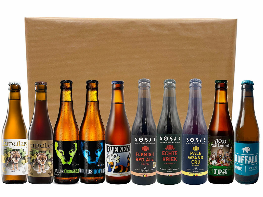 樂天商城 - お家飲み・ベルギービールセット 厳選10本入り ギフトセット 送料無料　ギフト　プレゼント お酒　飲み比べ　詰め合わせ