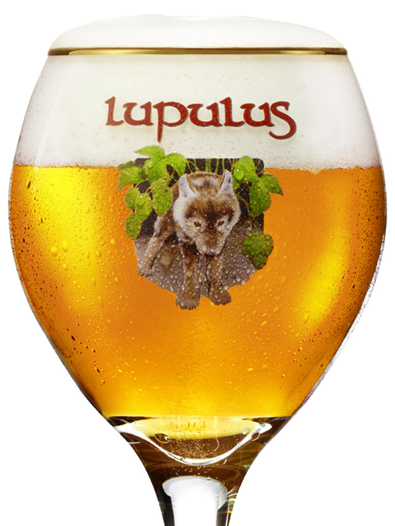 ルプルス・オペラ 330ml