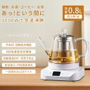 IwaiLoft 電気ケトルの新世代 電気ケトル 耐熱ガラス ガラスケトル 1000W LEDライト 電気ポット 温度調節 保温 静音 急速沸騰 自動給水 コー...