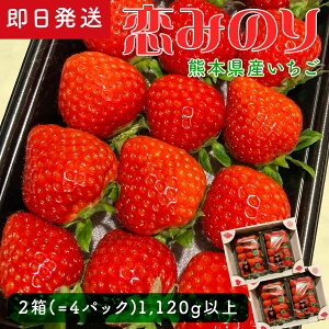 【熊本いちご】熊本県産の甘くて美味しい苺のおすすめは？