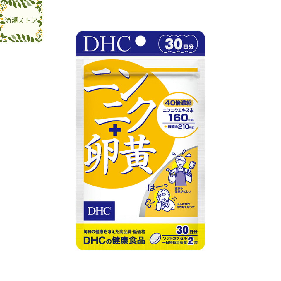 DHC ニンニク＋卵黄 30日分 60粒 サプリ【送料無料】【追跡可能メール便】