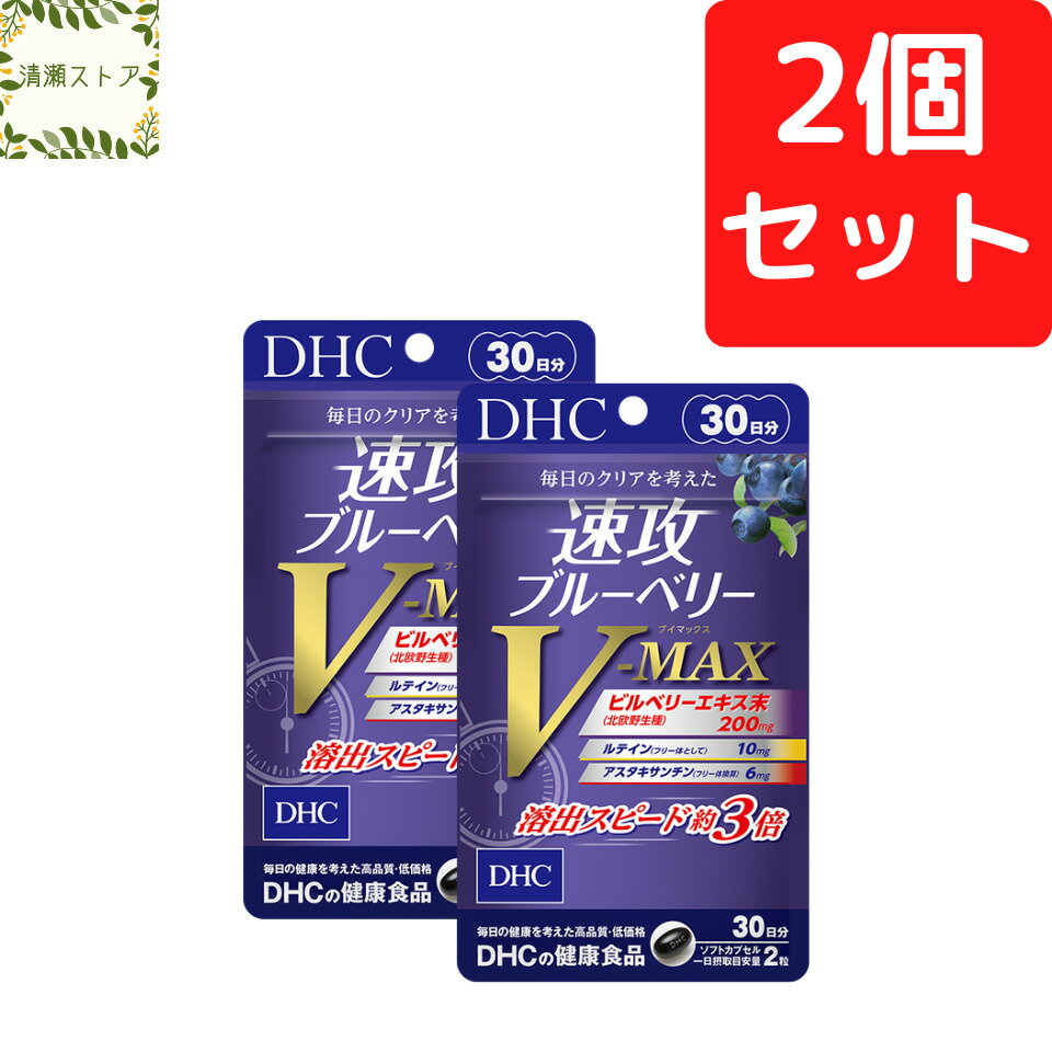 DHC 速攻ブルーベリーV-MAX ブイマックス 30日分×2個セット 120粒