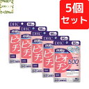 DHC 持続型ビオチン 60日分×5個セット 300粒 サプリメント【送料無料】【追跡可能メール便】