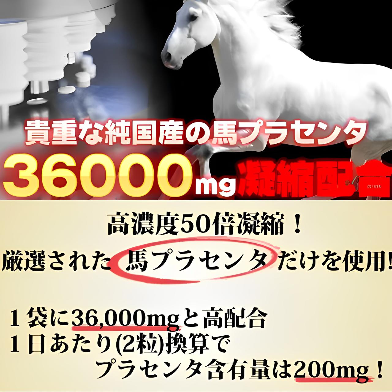 純国産高級馬プラセンタ36000 約6ヵ月分×2個セット 720粒 馬プラセンタ 高濃度50倍...