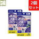 DHC 速攻ブルーベリー 20日分×2個セット 80粒 サプリメント【送料無料】【追跡可能メール便】