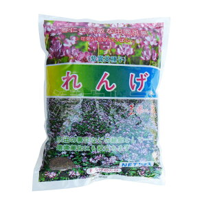 (レターパック便) レンゲ草の種 2kg(1kgあたり2110円) 紫雲英種子 蓮華草 れんげそうのたね