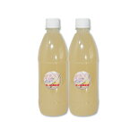 [送料無料] びんびん乳酸菌 500ML 10本(1本あたり1340円) スプレーヘッド無し ビタミン入り メダカ 淡水魚用液体エサ