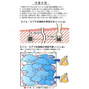 (メール便) もぐらパニック 6g×10個(1個あたり164円) 忌避剤 モグラパニック 2