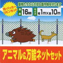 [送料無料] アニマル＆万能ネットセット 1m×10m 16mm目合 ネット＋支柱 侵入防止 畑囲い 防獣ネット