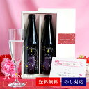 楽天黄桜 楽天市場店あす楽 送料無料 黄桜公式 スパークリング 日本酒 ピアノ 300ml 2本 セット 日本酒 純米酒 発泡 炭酸 ギフト 誕生日 プレゼント 内祝い 出産内祝い 結婚内祝い お祝い 記念 退職祝い お酒 冷酒 熱燗 地酒 清酒 女性 母の日 2024 父の日