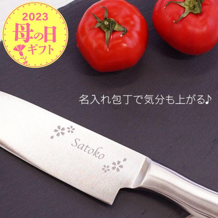 包丁 名入れ プレゼント 誕生日プレゼント 母親 60代 おしゃれ 【 家庭用 ステンレス 三徳包丁 170mm 】結婚祝い 誕生日 女友達 ギフト 名前入り 名入り 20代 30代 40代 50代 オールステンレス 女性 妻 記念日 引っ越し 祝い 名 名前 入り 入れ Present Gift 母の日