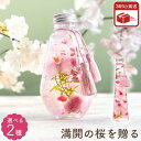 母の日 プレゼント ギフト 花 桜 雑貨 『 さくら ハーバリウム L』 誕生日プレゼント 女性 50代 母親 60代 義母 退職祝い 造花 観葉植物 女友達 ...