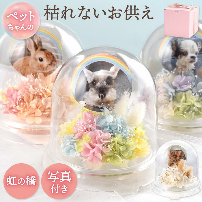 【日付指定可】 ペット お供え 花 プリザーブドフラワー 仏花 ドーム 『メモリー ポット』 ミニ 犬 お..