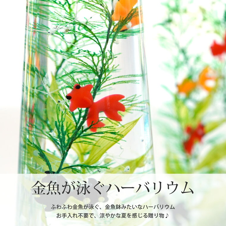 玄関飾り 季節 おもしろ プレゼント 子供 観葉植物 開店祝い 『 金魚 ハーバリウム...