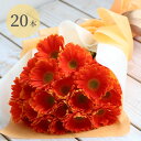 【7日前予約品】 プレゼント 女性 誕生日 花 『花言葉