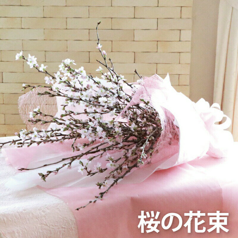 お花 【7日前予約品】 桜 ギフト 退職祝い プレゼント 女性 合格祝い 『 桜の 花束 』 定年退職 送別会 フラワーギフト 新築祝い 友人 女友達 ギフト 母 母親 義母 卒業祝い 入学祝い 桜の木 春の花 桜の花 さくら サクラ sakura 花まりかのサムネイル