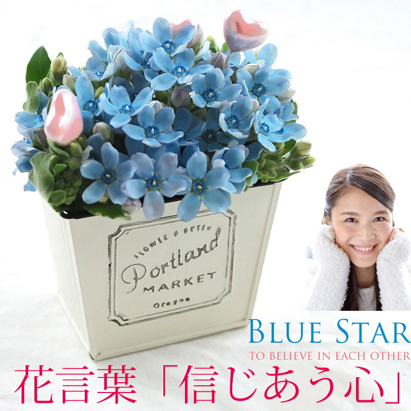 お花 【7日前予約品】 結婚祝い 花 おしゃれ 結婚記念日 プレゼント 妻 『 ブルースター アレンジメント フラワー 』 アレンジ 青い花 新築祝い 引っ越し祝い 友人 快気祝い 生花 誕生日プレゼント 女友達 女性 誕生日 母親 義母 お祝い お花 退職祝い まりかのサムネイル