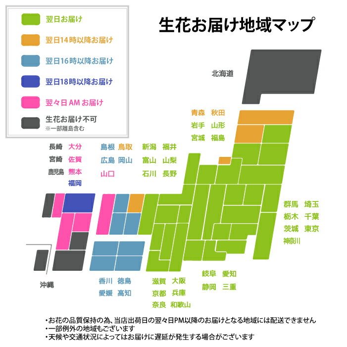【日付指定可】 お供え 花 線香 セット 供花 アレンジ お彼岸 『天国の母へ感謝の お花 と お線香セット 』 母親 一周忌 お供え物 仏花 生花 法要 法事 お供え花 喪中見舞い 命日 贈り物 フラワーアレンジメント お悔やみ 弔電 電報 四十九日 カーネーション 白