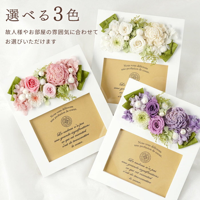 �����ջ���ġ� ������ �ץꥶ���֥ɥե� ʩ�� ������� �ե��ȥե졼�� ��� �� �̿�Ω�� �� �ڥå� �̿� �ե졼�� Ω�� ������� �������� ʩ�� ��ʩ�� �Ϥ�ʤ��� ̿�� ˡ�� ˡ�� �ͽ����� 49�� ����� ����� ���渫�� �ץꥶ ����� FLEGRE �����