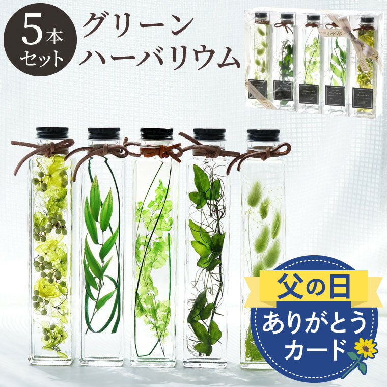 父の日 観葉植物 カフェ 開店祝い プレゼント おしゃれ 『 グリーンプランツ ハーバリウム 5本 セット 』 美容室 サロン 開院祝い 周年 祝い 新築祝い 引っ越し祝い 友人 誕生日プレゼント 女友達 ギフト 30代 男性 玄関 インテリア 雑貨 北欧 暑中見舞い 夏ギフト 御中元