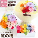 【日付指定可】 ペット 供養 お供え 花 アレンジメント 花束 お彼岸 『 虹の橋 エールフラワー』 お供え花 アレンジ そのまま飾れる ボックスフラワー 犬 ...