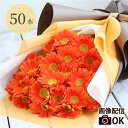 【7日前予約品】 誕生日プレゼント 女性 花束 退職祝い 花 男性 父 『 花言葉
