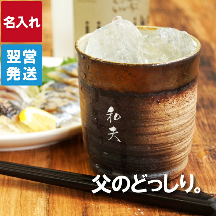 【送料無料】酒器|九谷焼 ペア焼酎カップ 釉彩|＜T51099＞引き出物 出産内祝い 内祝 プレゼント【szt】