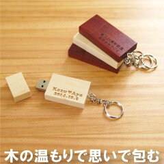 https://thumbnail.image.rakuten.co.jp/@0_mall/kizamu/cabinet/new_thumb/usb-001_0aa.jpg