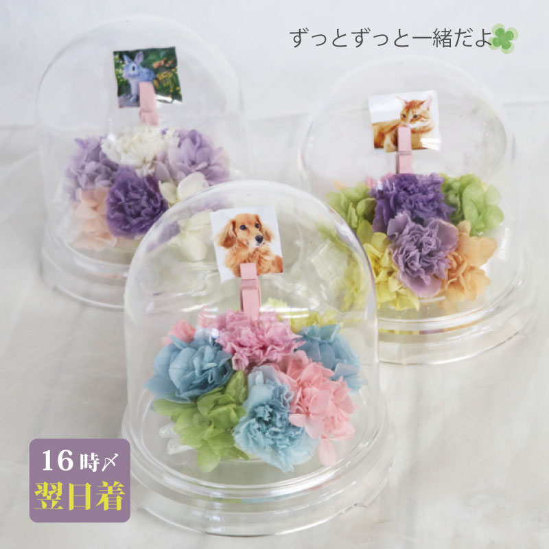 【あす楽＆日付指定可】 ペット お供え 花 プリザーブドフラワー 仏花 ドーム 『メモリー ポット』 ミニ 犬 お悔やみ 贈り物 写真 遺影 お供え花 ペット供養 命日 49日 四十九日 法要 一周忌 お供え物 供養花 仏壇用 メモリアルグッズ 即日発送 プリザ 写真入り 花まりか