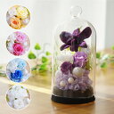 【日付指定可】 お彼岸 プリザーブドフラワー 仏花 ガラスドーム お供え 花 『 お供え花 ドーム 』 ミニ ケース入り 仏壇用 法事 一周忌 お供え物 電報 ...