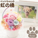 【日付指定可】 お供え お花 ペット 花 プリザーブドフラワー 仏花 『ペットちゃん 虹の橋 トゥインクル ローズ 』 ペット供養 犬 お悔やみ 贈り物 猫 うさぎ 鳥 仏壇 ミニ 仏壇用 造花 祭壇 命日 お供え花 おしゃれ 一周忌 プリザ 花まりか(4)