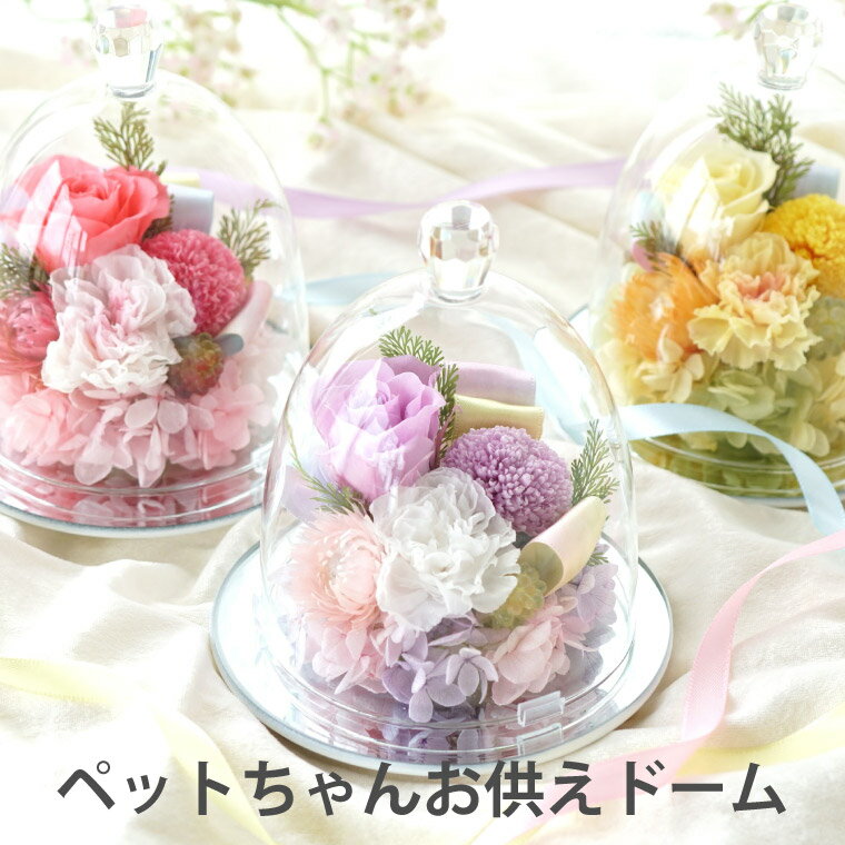 【あす楽16時まで】 ペット お供え 花 プリザーブドフラワー 仏花 『 虹の橋 ペットちゃんの お供え ドーム 』 ガラスドーム ミニ 仏壇用 犬 お悔やみ 贈り物 ペット供養 お供え花 おしゃれ 枯れない仏花 供養花 ギフト 四十九日 一周忌 お供え物 即日発送 猫 プリザ お彼岸のサムネイル