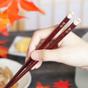 箸 名入れ 一膳 傘寿 祝い プレゼント 送料無料 【 若狭塗 ぷくまる ふくろう 縁起箸 1膳 】敬老の日 名前入り ギフト お箸 おしゃれ 名入り 誕生日 男性 女性 父 母 母親 父親 祖母 義母 60代 70代 還暦 古希 喜寿 米寿 退職 祝い フクロウ 名 名前 入り 入れ Present Gift